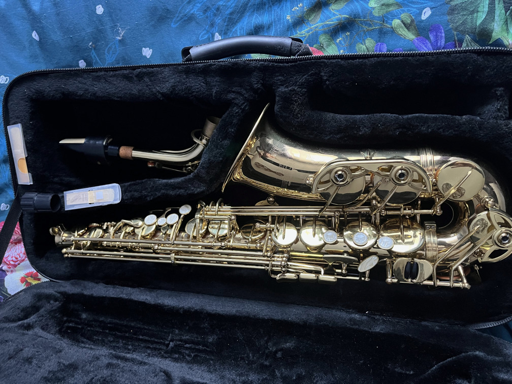JR-100 Saxophon Alto Roy Benson- mit Transport Koffer-ein sehr schönes Teil
